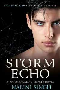 Storm Echo