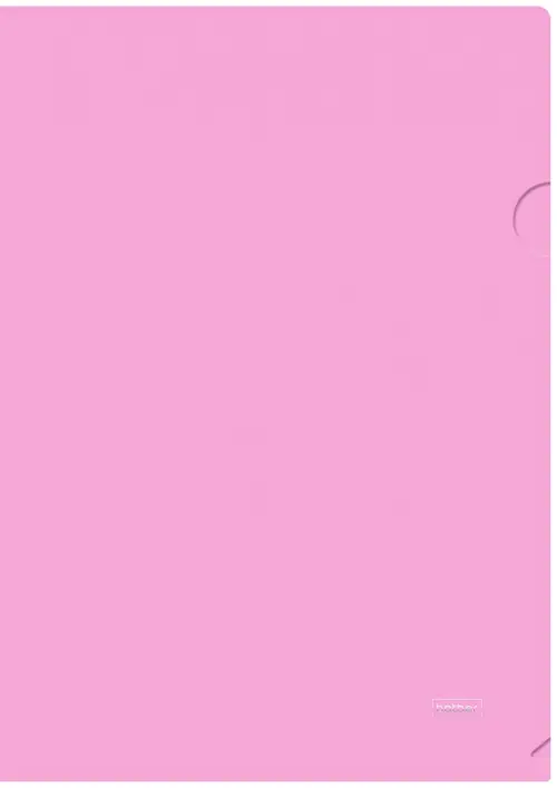 

Папка-уголок пластиковая "NEWtone Pastel Пион" А4 (AG4_05018), Фиолетовый