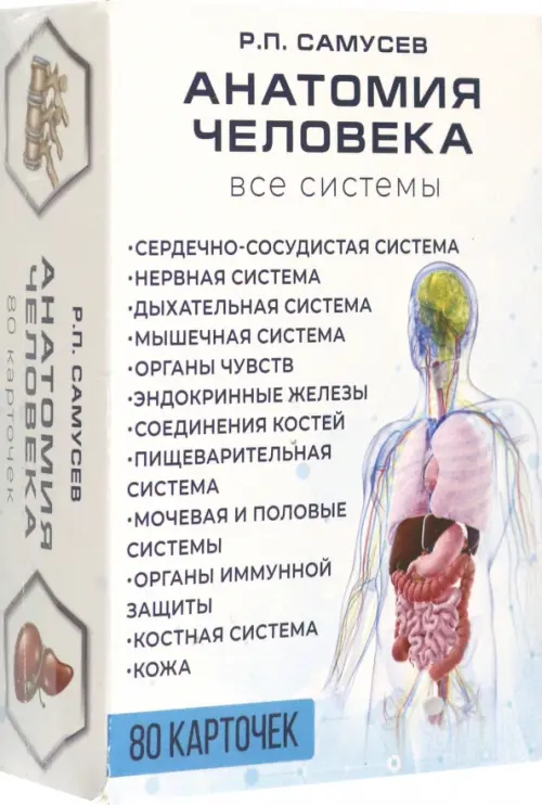 

Анатомия человека. 80 карточек. Все системы, Белый
