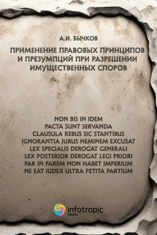 

Применение правовых принципов и презумпций при разрешении имущественных споров, Серый