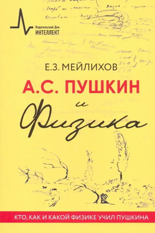 

А.С. Пушкин и Физика. Кто, как и какой физике учил Пушкина, Жёлтый