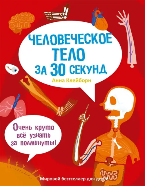 

Человеческое тело за 30 секунд, Красный