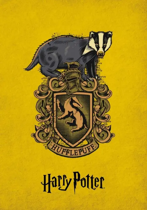 Блокнот Пуффендуй А5 линейка 628₽