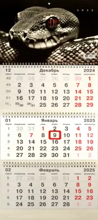 Календарь на 2025 год трехблочный Символ года. 2