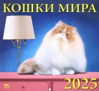 Календарь настенный на 2025 год Кошки мира