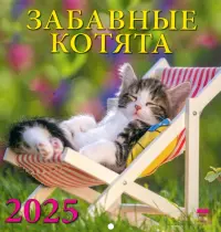 Календарь настенный на 2025 год Забавные котята