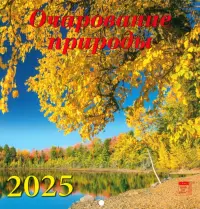 Календарь настенный на 2025 год Очарование природы