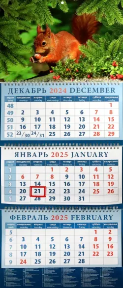 Календарь квартальный на 2025 год Белка с орехом