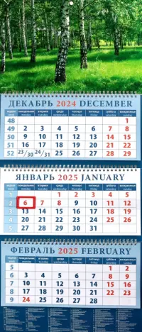 Календарь квартальный на 2025 год Березы