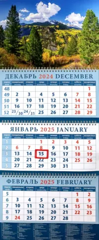 Календарь квартальный на 2025 год Прекрасный пейзаж