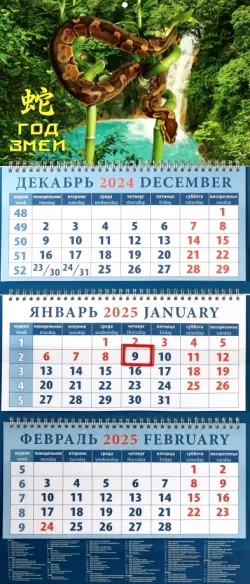 Календарь квартальный на 2025 год Год змеи