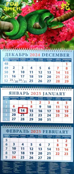 Календарь квартальный на 2025 год Год змеи