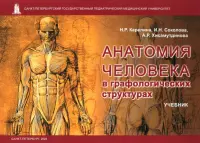 Анатомия человека в графологических структурах. Учебник