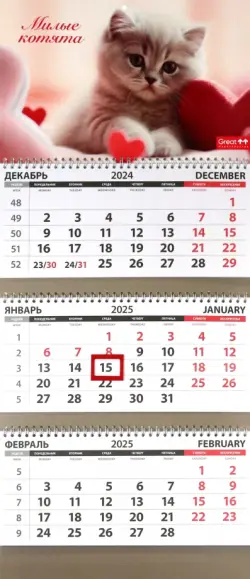 Календарь квартальный на 2025 год Кошки. Милые котята