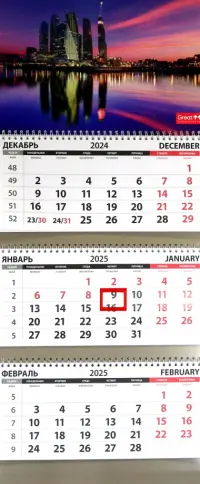 Календарь квартальный на 2025 год Офис. Сити розовый