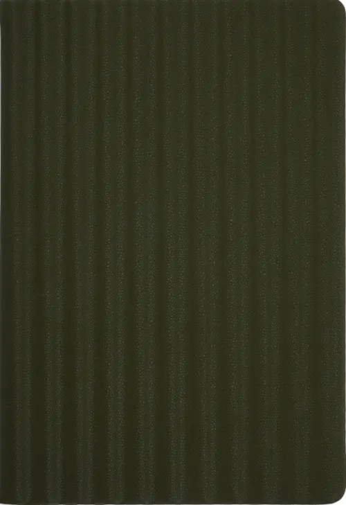 Книга для записей Stripes Хаки 128 листов А5 клетка 392₽