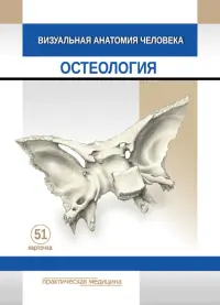 Визуальная анатомия человека. Остеология. Карточки, 51 штука