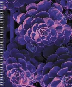 Тетрадь Violet Mix, 96 листов, клетка, в ассортименте