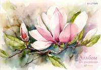 Альбом для рисования Магнолия, 40 листов