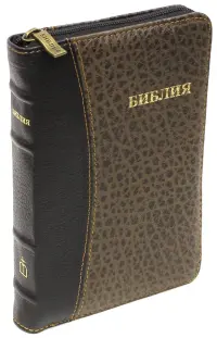 Библия. Книги Священного Писания Ветхого и Нового Завета. Канонические (048ZTIDT)