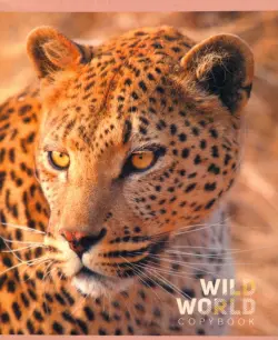 Тетрадь 48 листов, клетка "Дикий нрав. Животные", 5 видов (ТК485312)