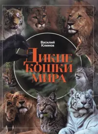 Дикие кошки мира