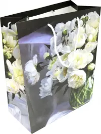 Пакет подарочный ламинированный (264*327) (L 3335)