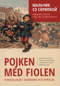 Мальчик со скрипкой. Шведские сказки, чудесные и невероятные