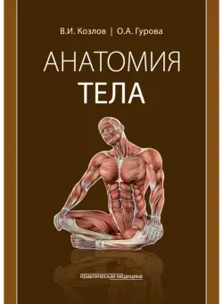 Анатомия тела. Учебное пособие