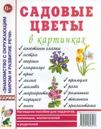 Садовые цветы в картинках: наглядное пособие для педагогов, логопедов, воспитателей и родителей