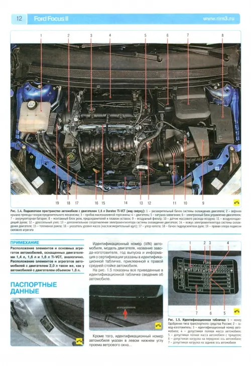 Замена маслосъемным колец Ford Focus 2